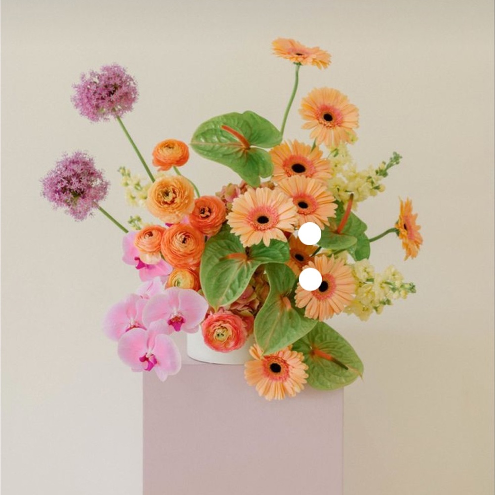 Meet your Posher, Giselle